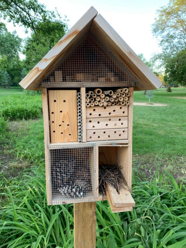 Дом для пчёл и жуков