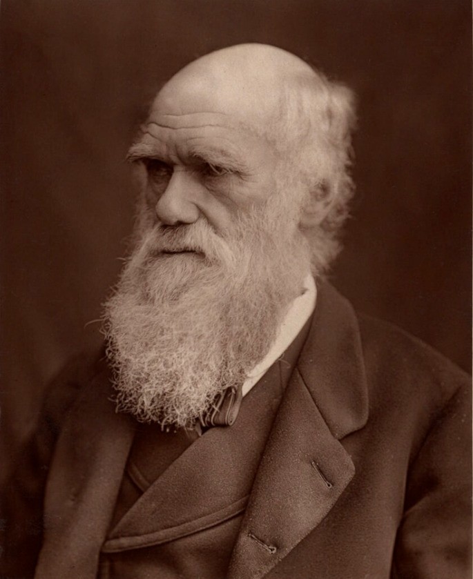 Чарльз Дарвин (1809–1882)