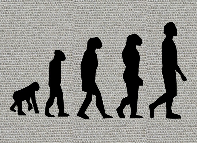 Пример изображения эволюционной теории Дарвина, применённый к людям.