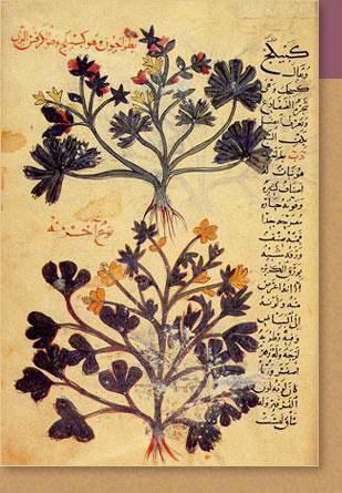 арабская средневековая философия