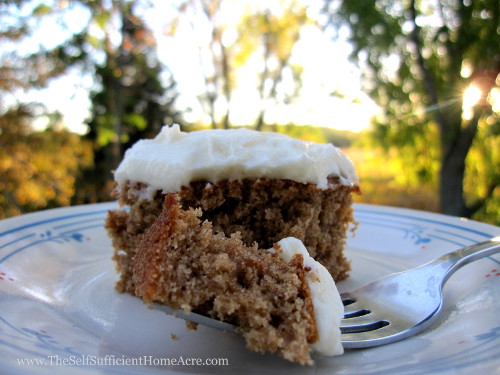 applesauce-cake