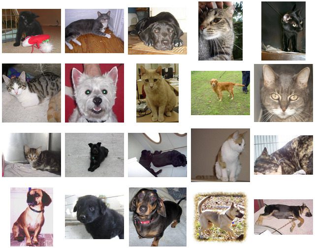 Figure 4: Examples from the Kaggle Dogs vs. Cats dataset.