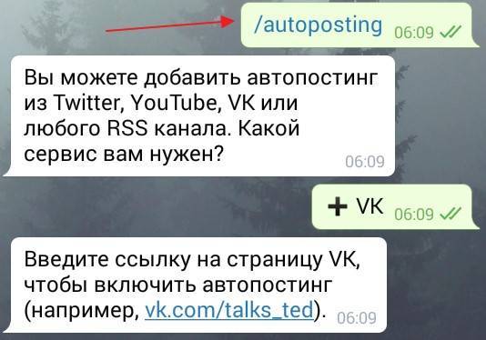 Наберите команду /autoposting