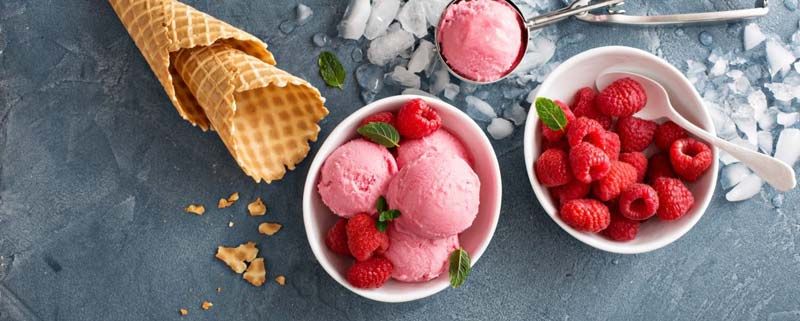 10 Best Ice Cream Franchises in USA in 2019