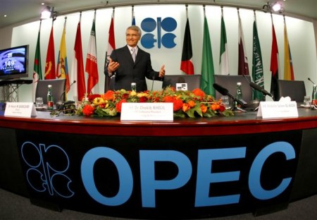 Флаги стран OPEC