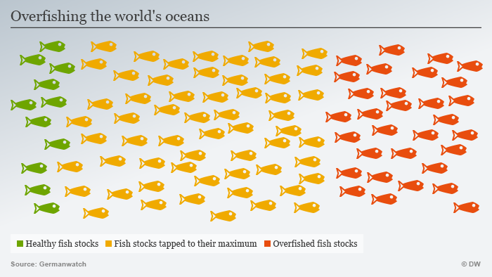 Infographic: Overfishing