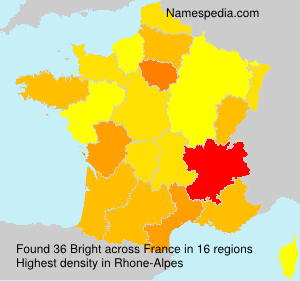 Surname Bright in France